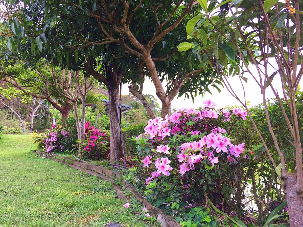 Jiu An Qing Jing Homestay ฝูหลี่ ภายนอก รูปภาพ